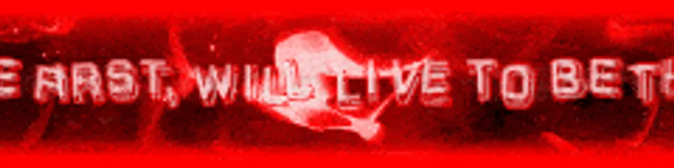 Void SMP banner